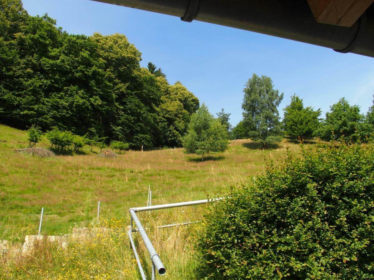 Im Prossner Gruendel Bad Schandau